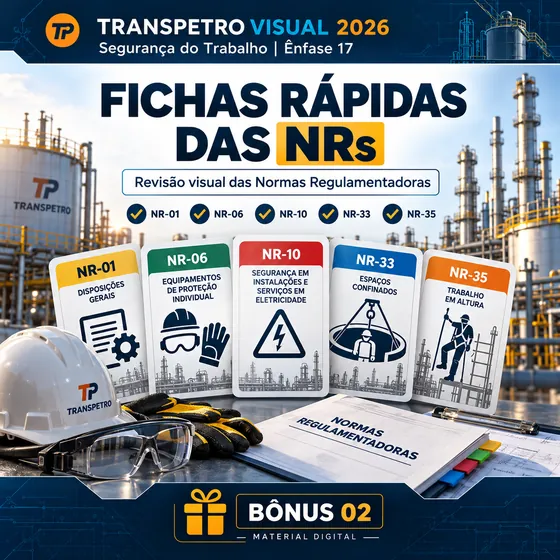 Capa do bônus 02 — Fichas Rápidas das NRs